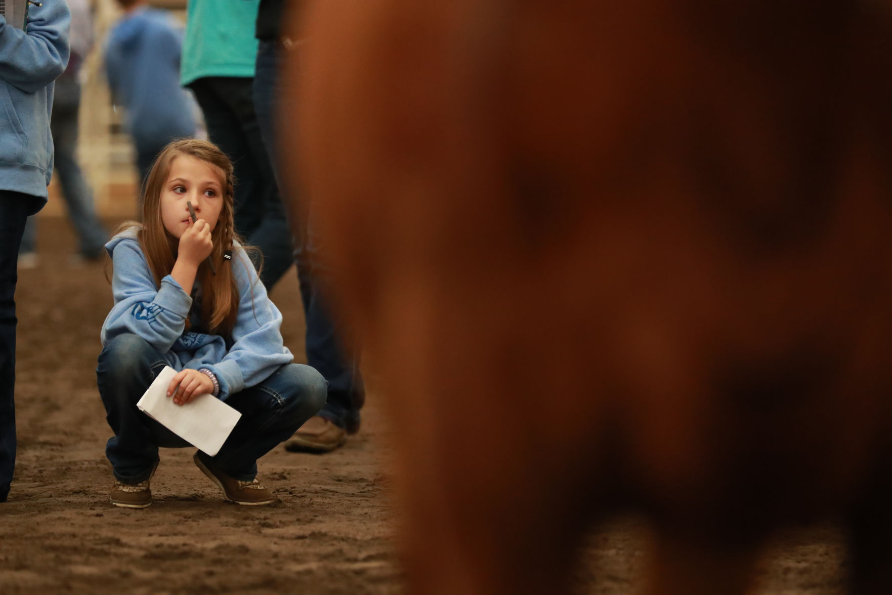 061819_RedAngusJudging05_bjs.JPG